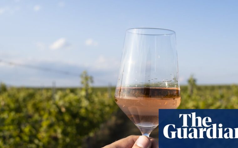 rosé wine offers options beyond Provence