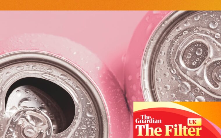 Best seltzers for summer refreshment tested