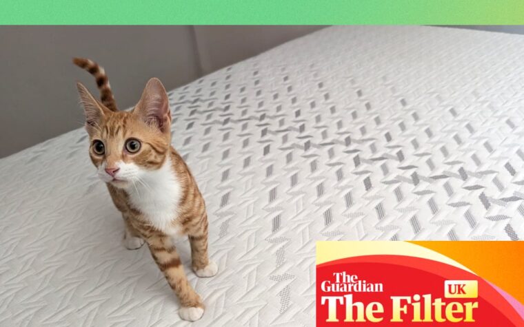 Nectar Classic memory foam mattress: a top budget choice