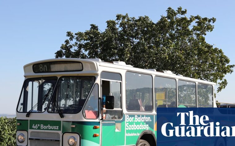 Hungarian vineyards explored on slow bus tour
