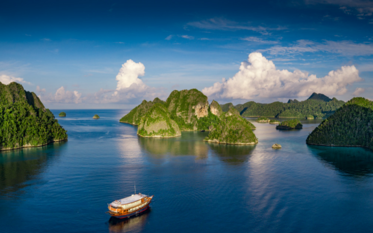 Rascal Voyages offers marine safaris for informal travel