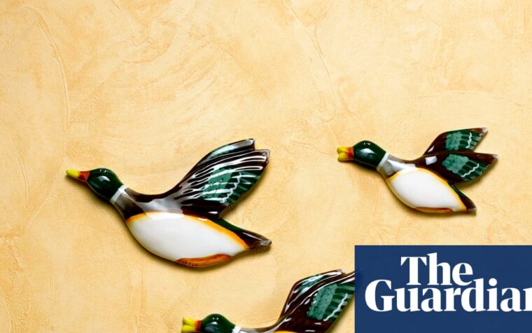 uk’s heaviest and fastest flying duck in quiz