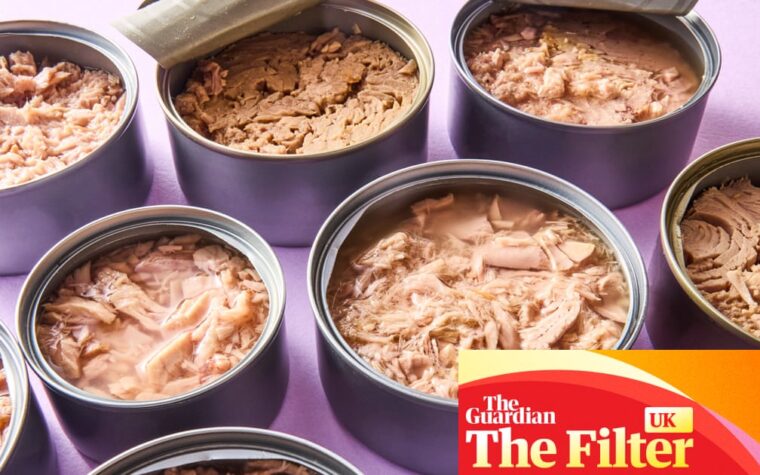 Best and worst supermarket tuna reviewed and rated