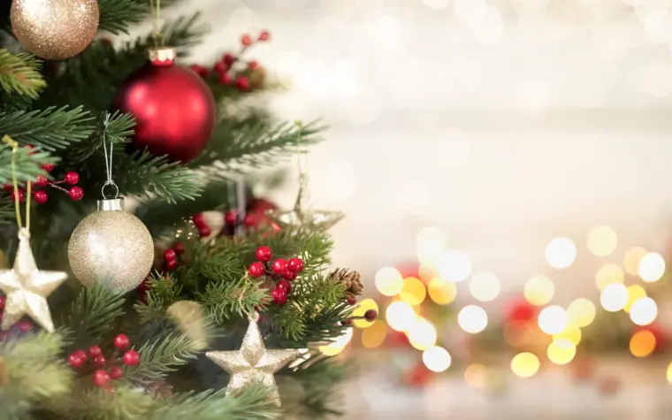 Christmas decor retailer files for bankruptcy
