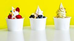 Frozen yoghurt returns but costs £12 a tub — will it endure?