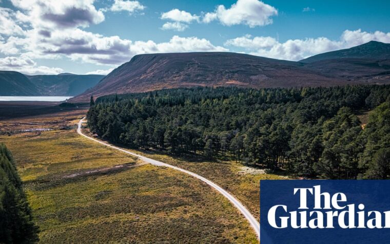 bike ride through the Cairngorms after July fires
